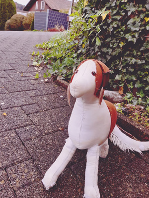 Polish 20201024 114808676