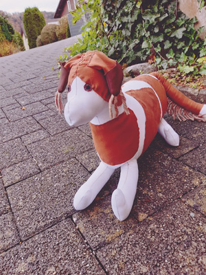 Polish 20201024 115553910