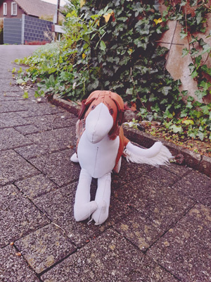 Polish 20201024 120902065