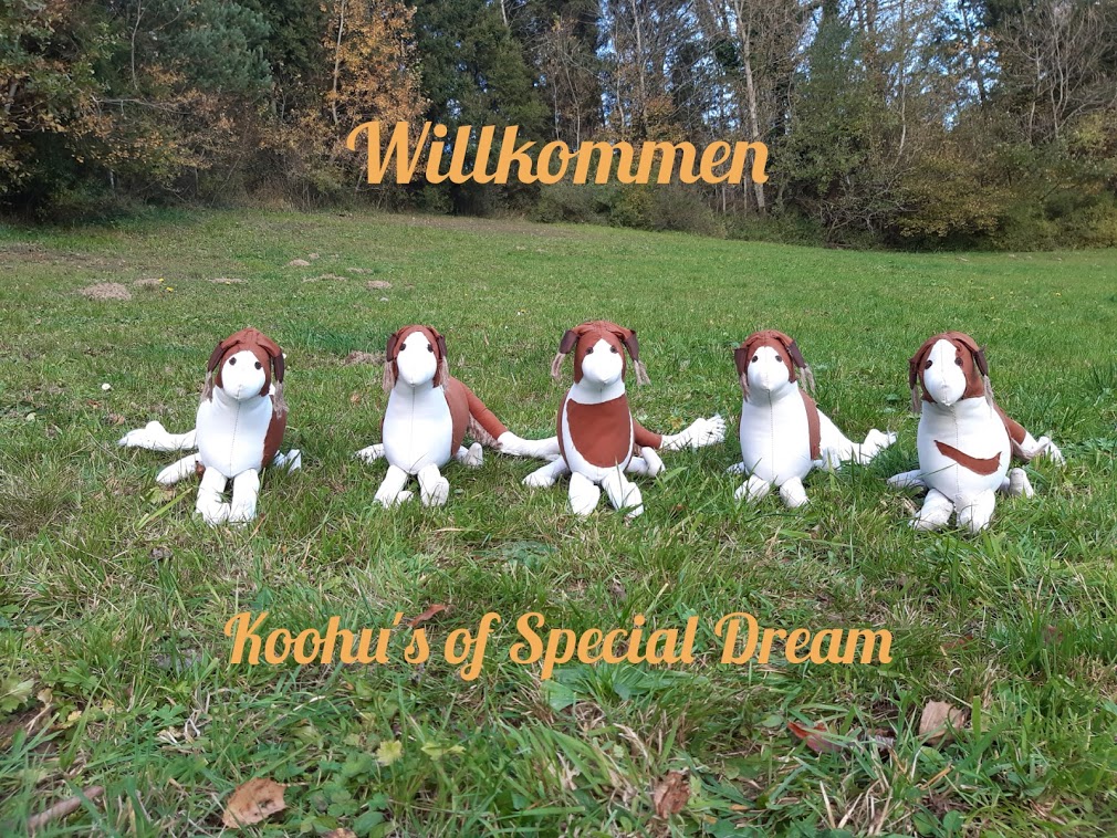 Polish 20201031 165520723 big