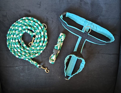 LeineHalsbandGeschirr